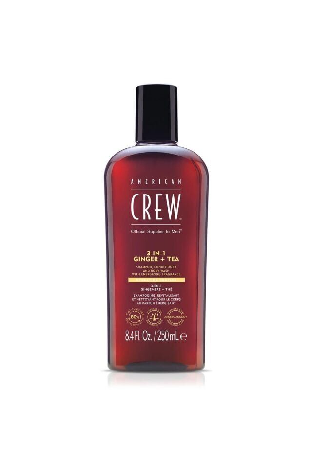 3 IN 1 GINGER + TEA WİTH ENERGİZİNG FRAGRANCE 250  ml